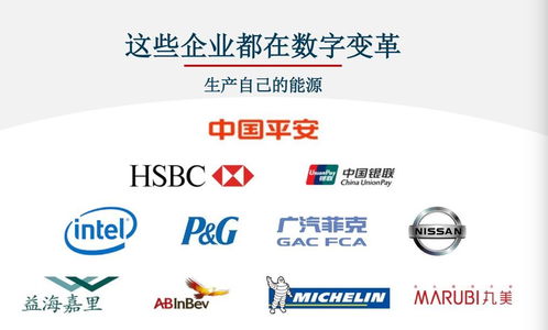 对标Adobe，Nequal如何以数据与技术双引擎赋能企业智慧商业